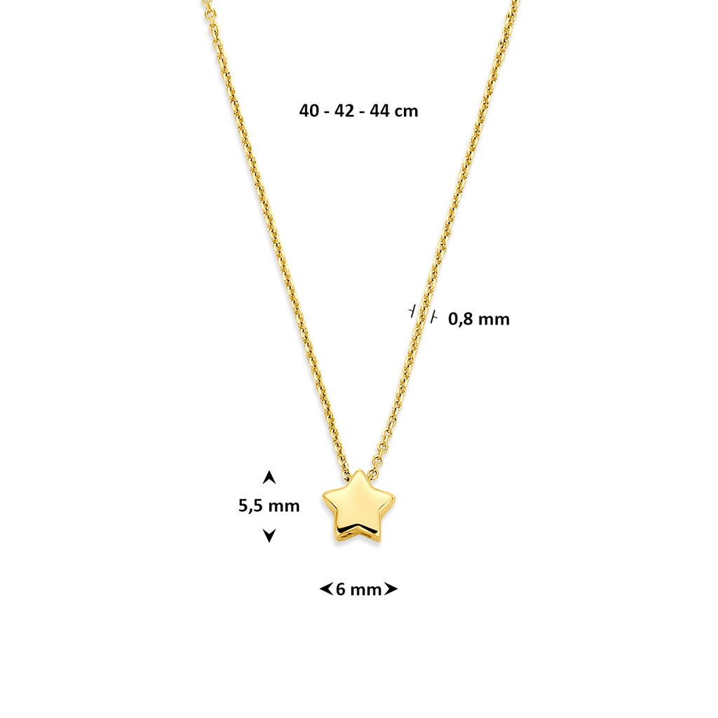 collier ster 40 - 42 - 44 cm 14K geelgoud