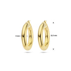 oorringen 6,0 mm ronde buis 1 micron zilver verguld (geel)