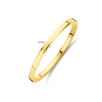 ring 14K geelgoud