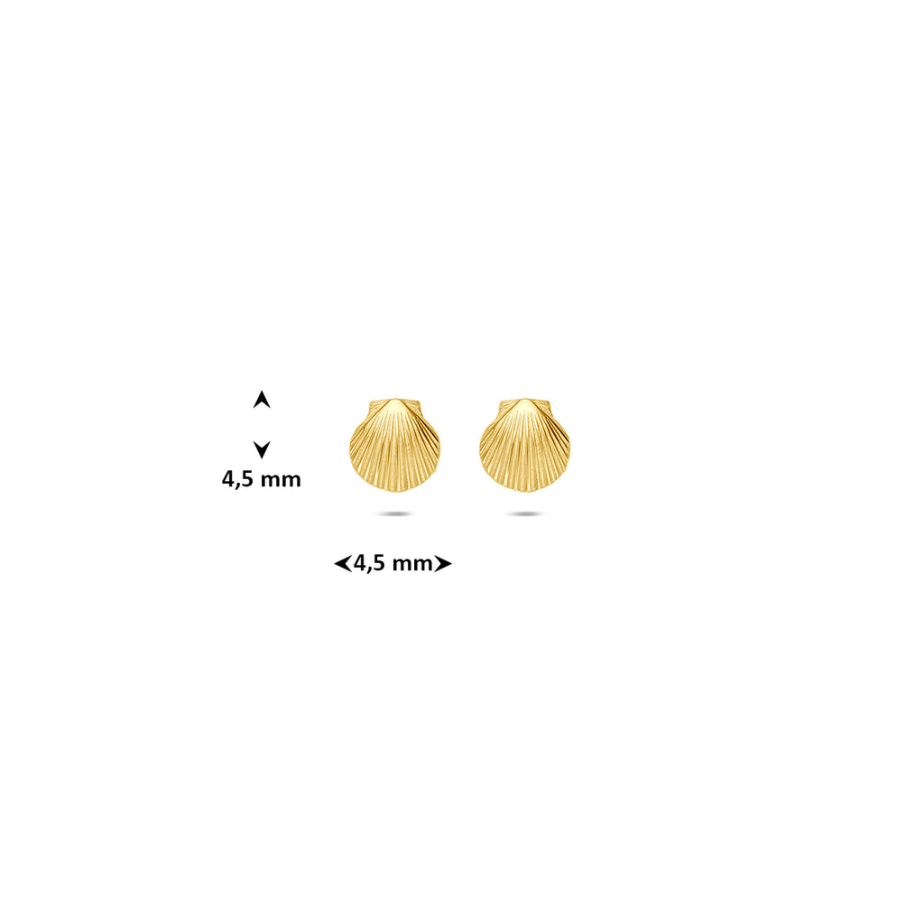 Muschel-Ohrstecker aus 14-karätigem Gelbgold