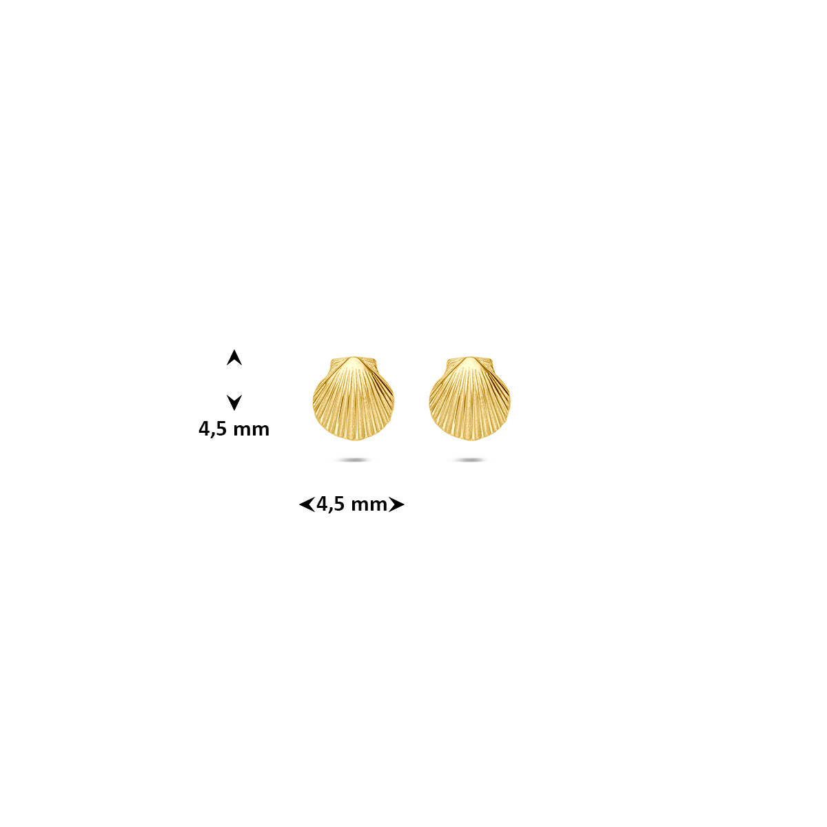 Muschel-Ohrstecker aus 14-karätigem Gelbgold