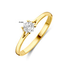 ring zirkonia 14K geelgoud