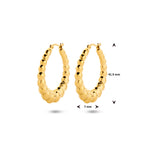 Oorringen ion plating edelstaal