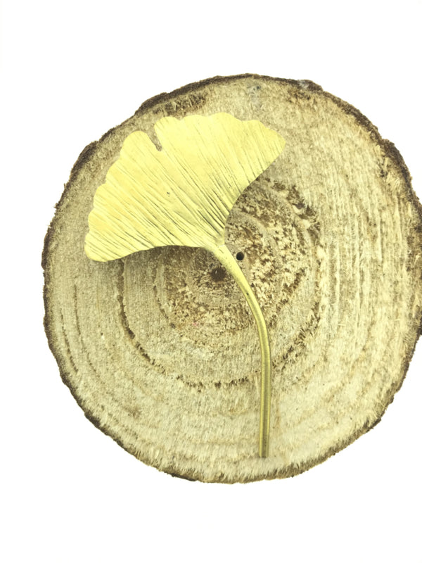 Ginkgo broche klein