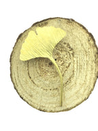 Ginkgo broche klein