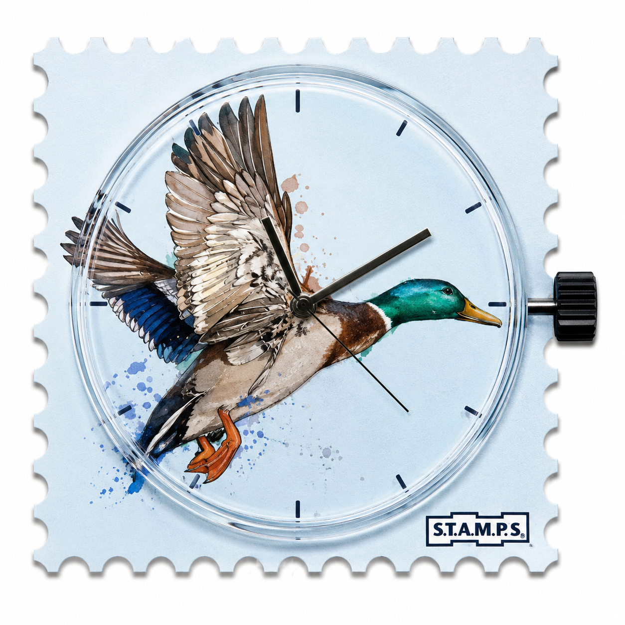 S.T.A.M.P.S. – Flying Duck