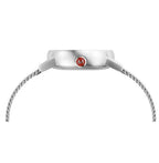 Evo2 - Ø30 - Zilverkleurig