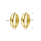 Klapoorringen 14k geelgoud