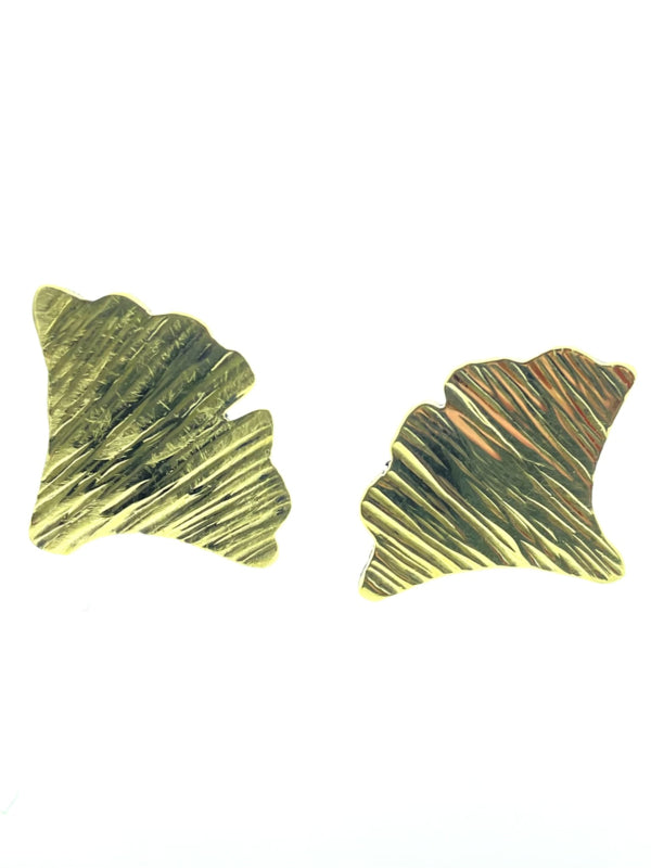 Ginkgo oorsteker klein