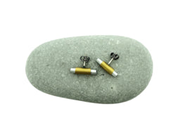 Geannodiseerde alluminium oorstekers