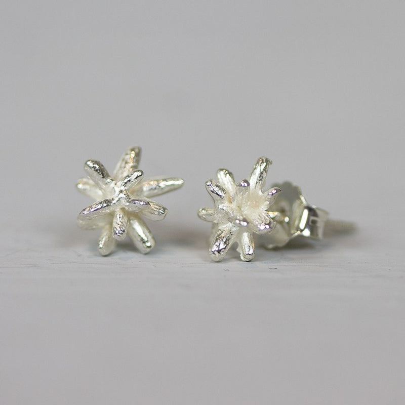 JÉH zilveren oorstekers firework