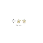 Ohrstecker Blume Zirkonia 4,5 mm 14K Gelbgold
