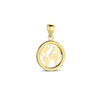 hanger wereldbol 14K geelgoud