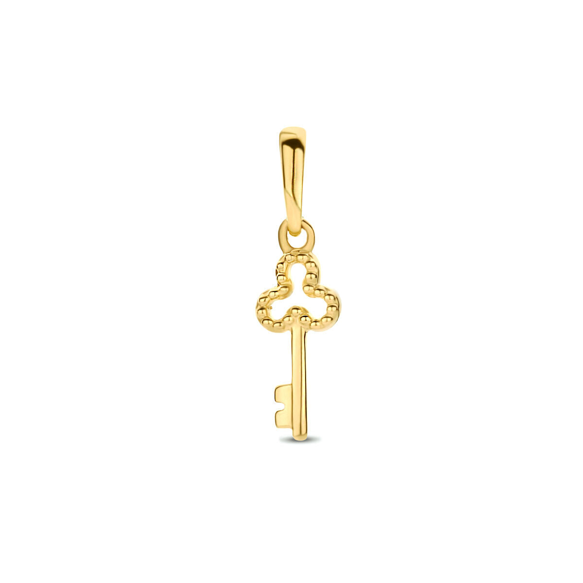 hanger sleutel 14K geelgoud
